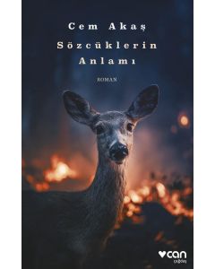 Sözcüklerin Anlamı