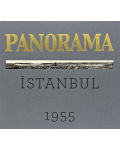 Bir İstanbul Panoraması 1955 (Gri)