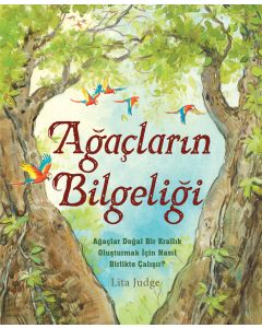 Ağaçların Bilgeliği