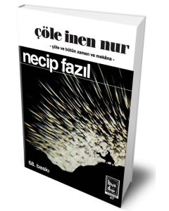 Çöle İnen Nur (Ciltli - Hatıra Baskı)