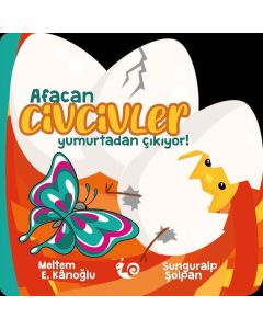 Afacan Civcivler Yumurtadan Çıkıyor !