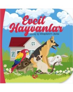 Evcil Hayvanlar