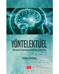 Yöntelektüel