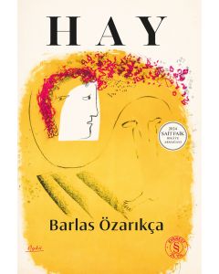 Hay