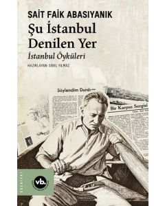 Şu İstanbul Denilen Yer