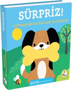 Sürpriz! - Çevremdeki Hayvanları Tanıyorum (Ciltli)