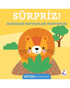 Sürpriz ! – Doğadaki  Hayvanları Tanıyorum (Ciltli)