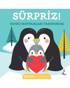 Sürpriz ! – Yavru Hayvanları Tanıyorum (Ciltli)