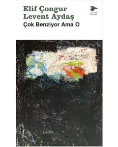Çok Benziyor Ama O