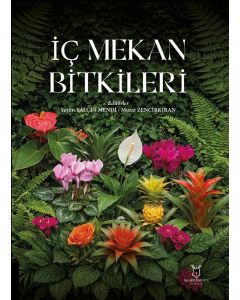 İç Mekan Bitkileri
