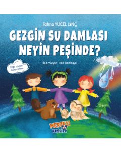 Gezgin Su Damlası Neyin Peşinde