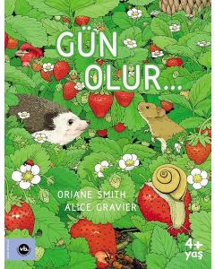 Gün Olur