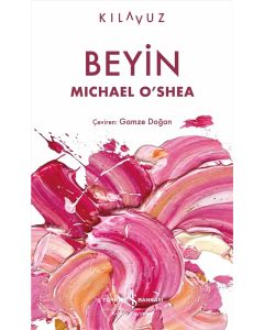 Beyin