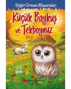 Küçük Baykuş ve Tekboynuz