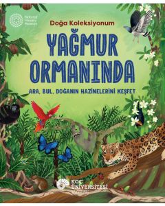 Yağmur Ormanında