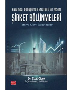 Kurumsal Dönüşümde Stratejik Bir Model - Şirket Bölünmeleri