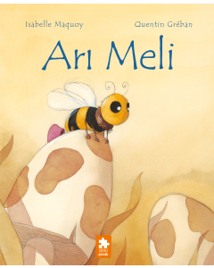 Arı Meli