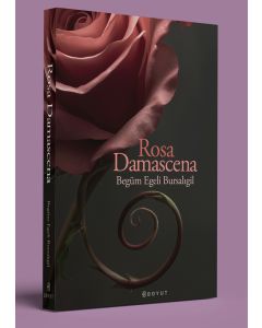 Rosa Damascena