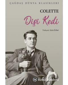 Dişi Kedi