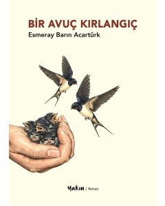 Bir Avuç Kırlangıç