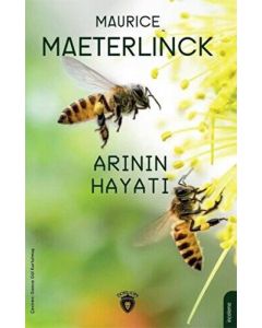 Arının Hayatı