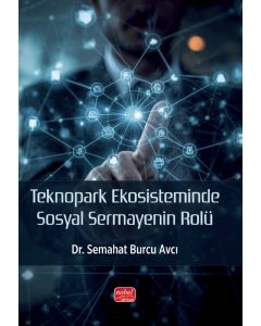 Teknopark Ekosisteminde Sosyal Sermayenin Rolü