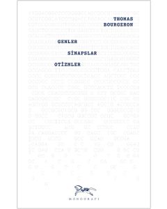Genler, Sinapslar, Otizmler