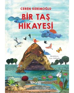 Bir Taş Hikayesi