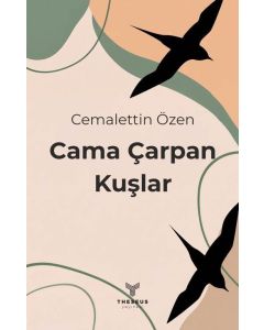 Cama Çarpan Kuşlar