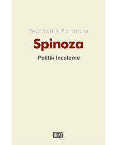 Politik İnceleme