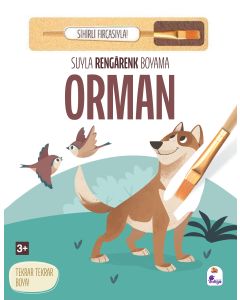 Suyla Rengarenk Boyama - Orman