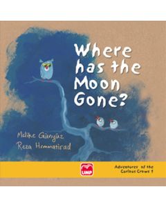 Where has the Moon Gone