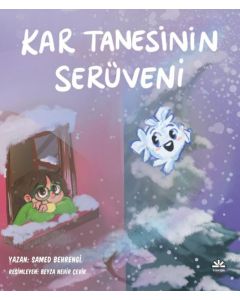Kar Tanesinin Serüveni