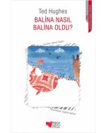 Balina Nasıl Balina Oldu?