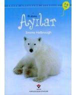 İlk Okuma - Ayılar