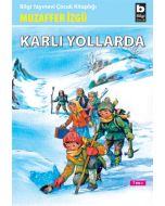 Karlı Yollarda