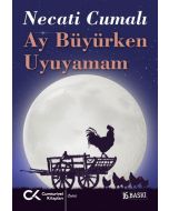 Ay Büyürken Uyuyamam