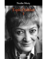Toplu Öyküleri 1