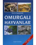 Omurgalı Hayvanlar