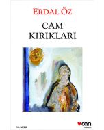 Cam Kırıkları