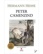 Peter Camenzind