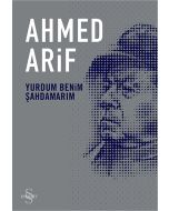 Yurdum Benim Şahdamarım