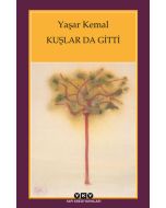 Kuşlar Da Gitti