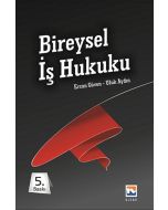 Bireysel İş Hukuku