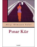 Akışı Olmayan Sular