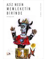 Memleketin Birinde