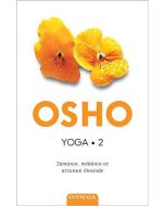 Yoga 2 - Zamanın Mekanın ve Arzunun Ötesinde