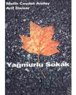Yağmurlu Sokak