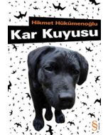 Kar Kuyusu