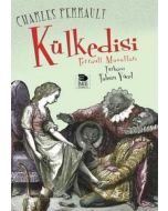Külkedisi